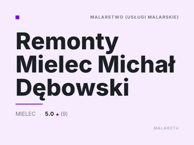 Remonty Mielec Michał Dębowski