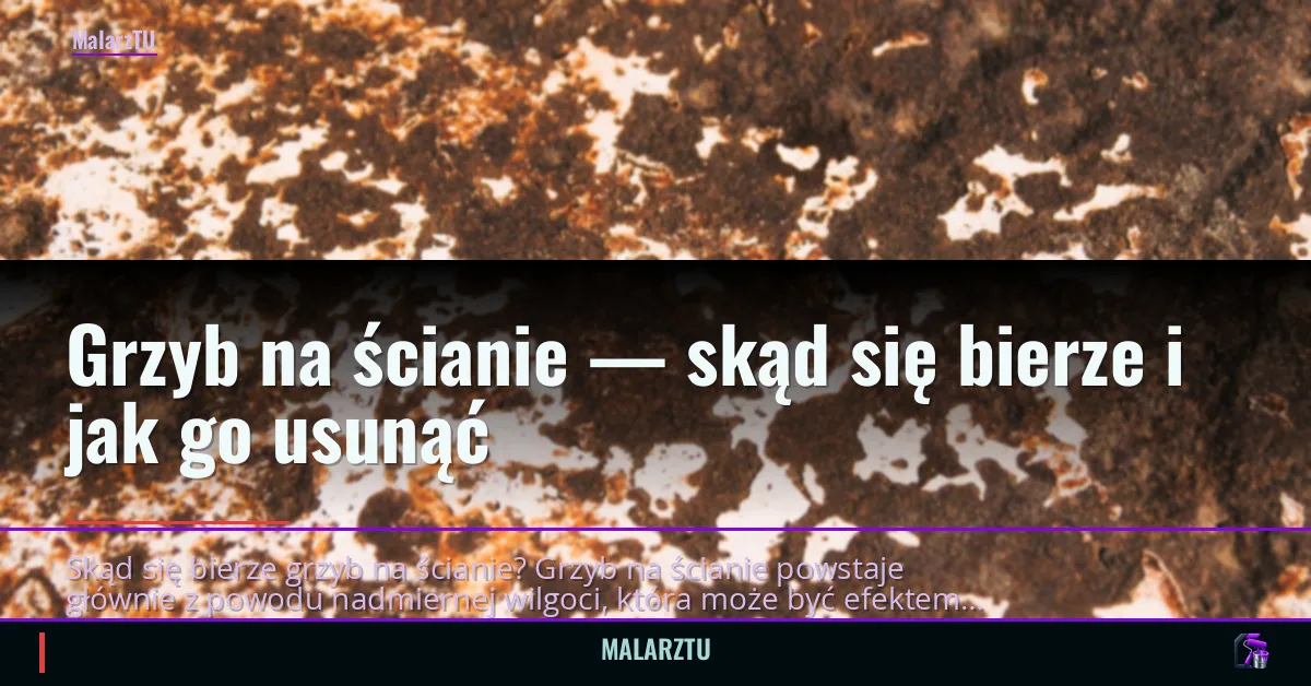 Grzyb na ścianie — skąd się bierze i jak go usunąć